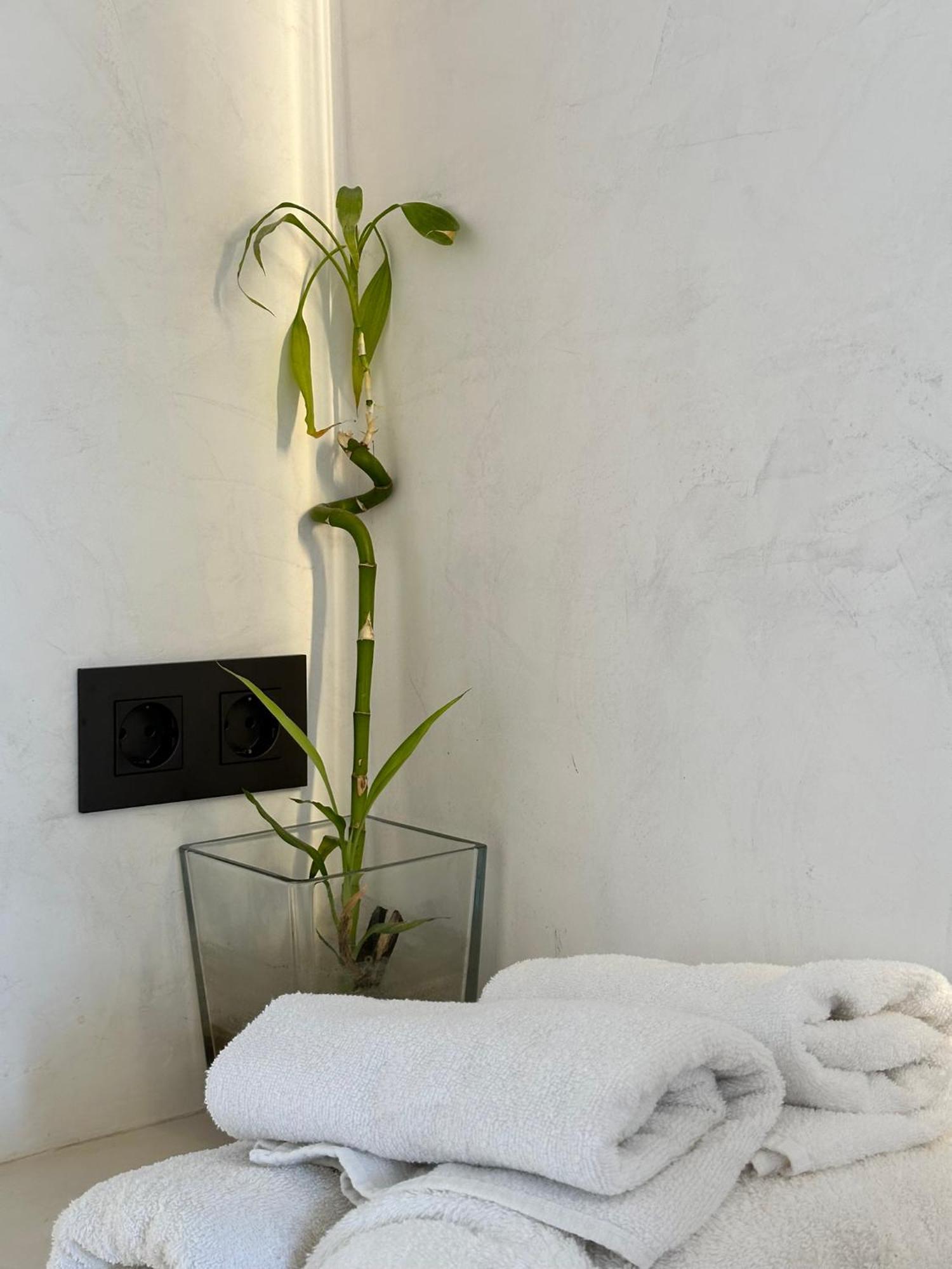 Aba Penthouse, Piscina&Azotea Privada Apartment Conil De La Frontera Bagian luar foto