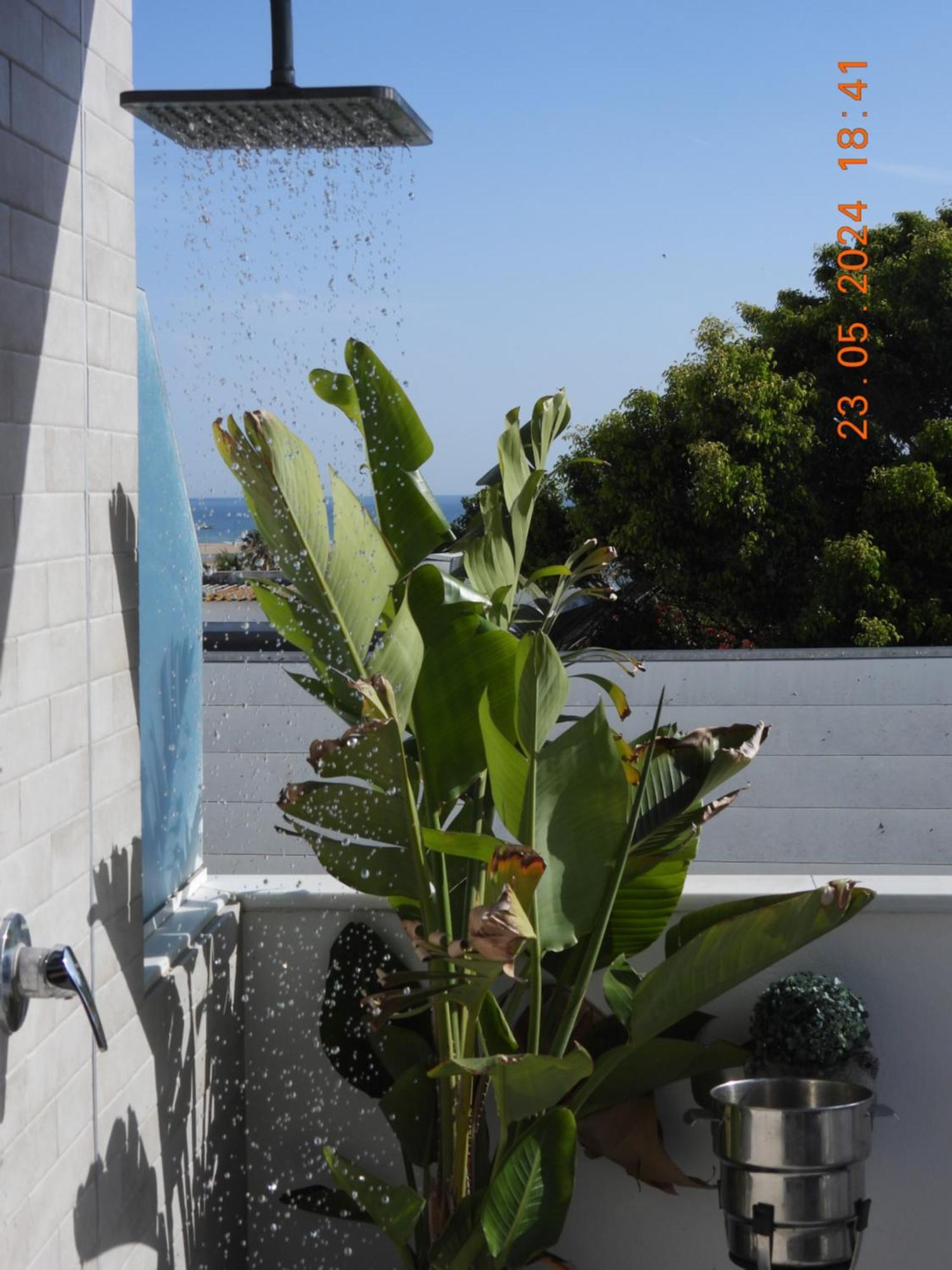Aba Penthouse, Piscina&Azotea Privada Apartment Conil De La Frontera Bagian luar foto